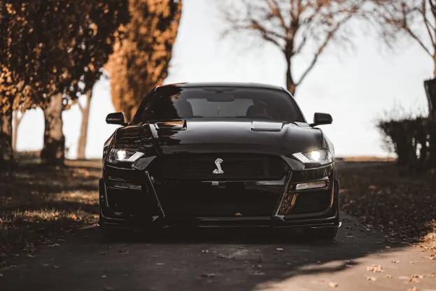 Ripper Kasino Android/iOS Aplikácia